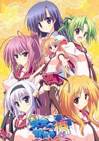 A Bridge to the Starry Skies Poster