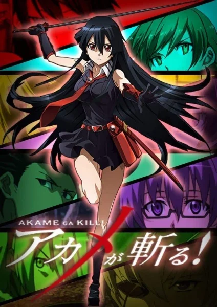 Akame ga Kill! Recap Poster