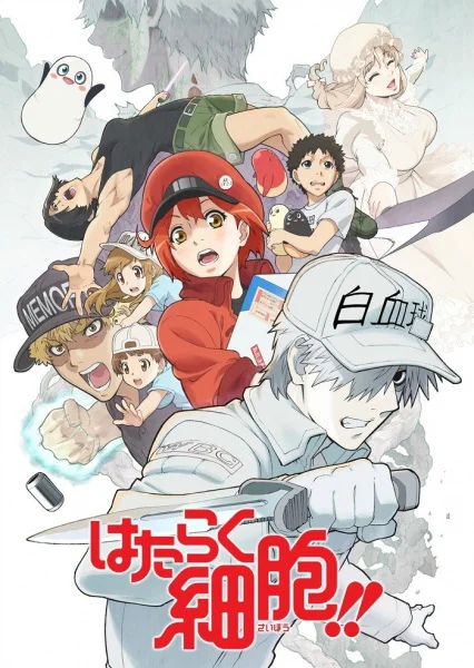 Cells at Work! 2nd Season