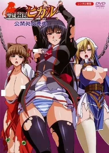 Seitokaichou Hikaru Poster