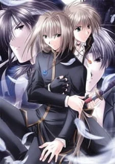 Angel's Feather Poster