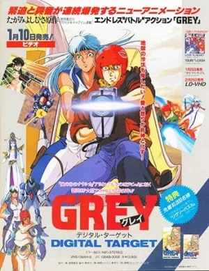 Grey: Digital Target Poster